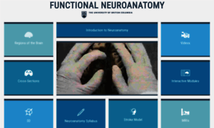 Neuroanatomy.ca thumbnail