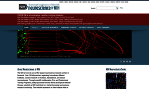 Neuroscience.nih.gov thumbnail