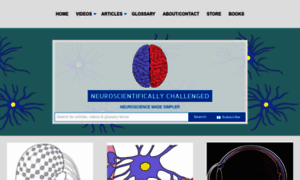 Neuroscientificallychallenged.com thumbnail