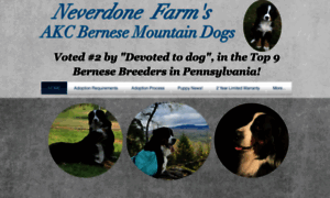 Neverdonefarmsbernesemountaindogs.com thumbnail