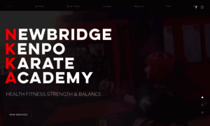 Newbridgekenpokarate.ie thumbnail