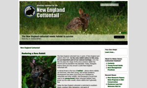 Newenglandcottontail.org thumbnail