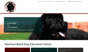 Newfoundlandpuppy.org thumbnail