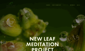 Newleafmeditation.org thumbnail