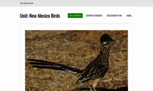 Newmexicobirdsunit.weebly.com thumbnail