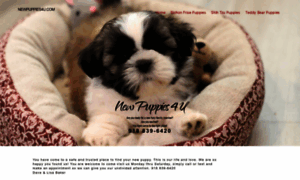 Newpuppies4u.com thumbnail