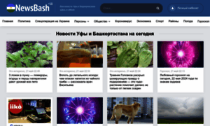 Newsbash.ru thumbnail