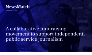 Newsmatch.inn.org thumbnail