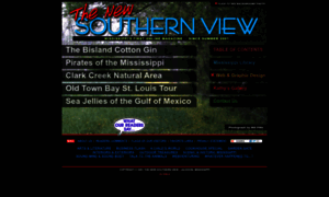 Newsouthernview.com thumbnail