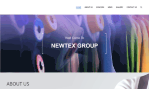 Newtexgroup.com thumbnail