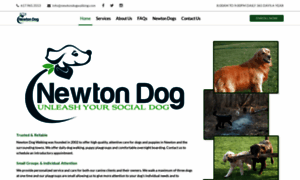Newtondogwalking.com thumbnail