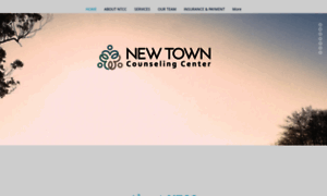 Newtowncc.com thumbnail