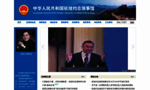 Newyork.china-consulate.org thumbnail