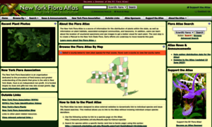 Newyork.plantatlas.usf.edu thumbnail