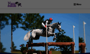 Nextleveleventing.com thumbnail