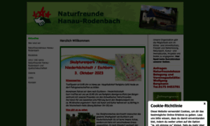 Nf-hanau-rodenbach.de thumbnail