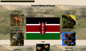 Ngkenya.com thumbnail