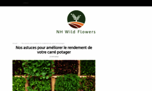 Nhwildflowers.org thumbnail