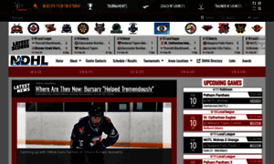 Niagaradistricthockeyleague.com thumbnail
