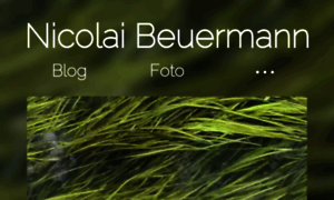 Nico-beuermann.de thumbnail