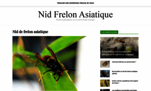 Nid-frelon-asiatique.com thumbnail