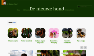 Nieuwehond.nl thumbnail