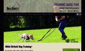 Nikkibirkettdogtraining.co.uk thumbnail