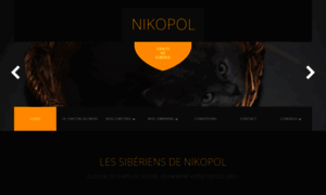 Nikopol.ch thumbnail