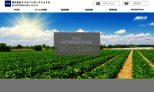 Nile-international.com thumbnail