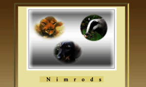 Nimrods.de thumbnail