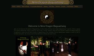 Ninedragonbaguazhang.com thumbnail