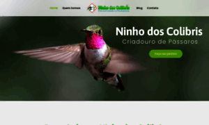 Ninhodoscolibris.com.br thumbnail