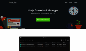 Ninjadownloadmanager.com thumbnail