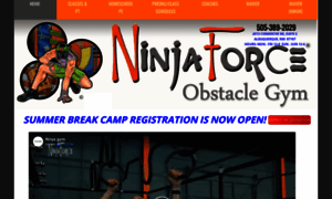 Ninjaforcegym.com thumbnail