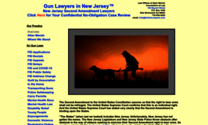 Njgunlawyers.com thumbnail