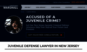 Njjuvenilelawyer.com thumbnail