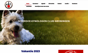 Nkc-groningen.nl thumbnail