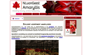 Nlvangeest.nl thumbnail