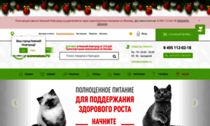 Nn.zoolakki.ru thumbnail