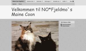 No-fjeldmos-maine-coon.com thumbnail