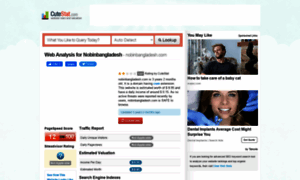 Nobinbangladesh.com.cutestat.com thumbnail