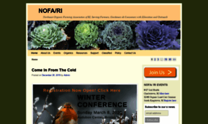 Nofari.org thumbnail