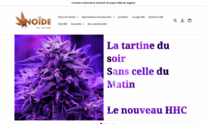 Noide.fr thumbnail