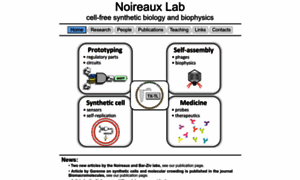 Noireauxlab.org thumbnail