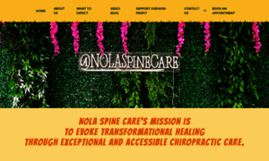 Nolaspinecare.com thumbnail