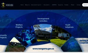 Nongoma.gov.za thumbnail