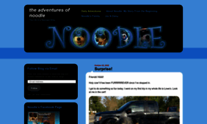Noodle4president.wordpress.com thumbnail