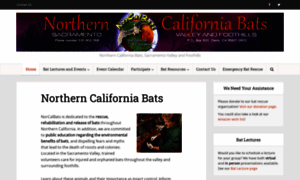 Norcalbats.org thumbnail