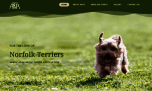 Norfolkterrier.org thumbnail