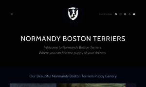 Normandybostonterriers.com thumbnail